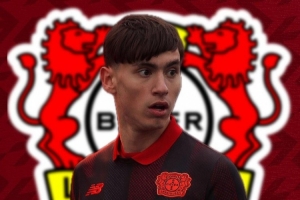 记者：略高于600万到700万欧，药厂敲定17岁天才前锋达米亚诺维奇