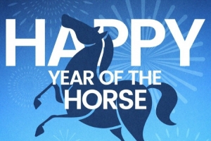 深圳新鹏城足球俱乐部祝大家新春快乐！马到“城”功，事事顺利