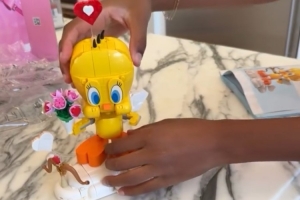 詹姆斯晒女儿拼乐高积木套装：这姑娘什么都很擅长