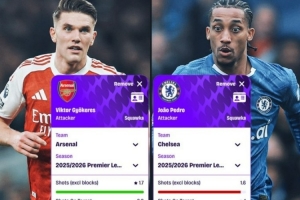 约克雷斯vs佩德罗本赛季英超数据：前者射门占优，后者创造机会多