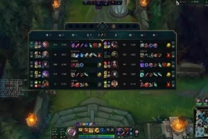 Ale：主播要是打过假赛死一户口本 可以说我菜但你不能说我打假赛