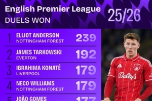 本赛季英超对抗成功次数榜：安德森239次居首，塔尔科夫斯基次席