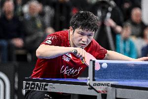 王励勤谈樊振东：非常希望他能够为国征战，我们也在做一些沟通