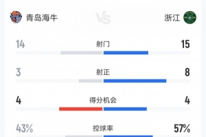 海牛1-4浙江数据：射门14-15，射正3-8，得分机会4-4，犯规17-17