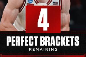 明天恐直接清零！疯三刚开打三天3600万+预测表仅4张存活！