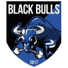 黑牛队徽