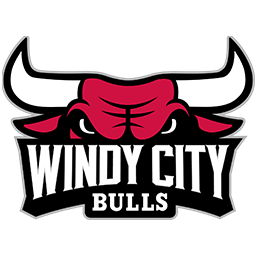风城公牛队徽