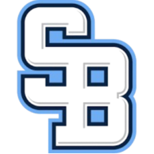 国际布拉蒂斯拉瓦队徽