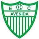 艾维尼达队徽