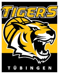 图寅根雷达虎队徽