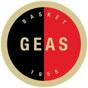 布拉科女篮队徽