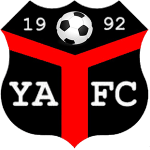 伊尼希尔比恩斯队徽