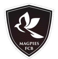 布鲁诺斯喜鹊队徽