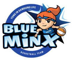 龙仁三星女篮队徽