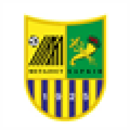 梅塔利斯特队徽