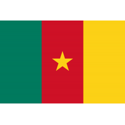 喀麦隆女足U20队徽