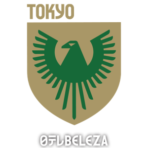 日视美人女足队徽