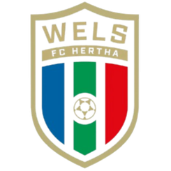 赫塔韦尔斯队徽