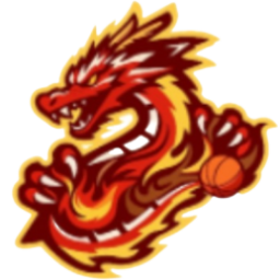 贵州猛龙队徽