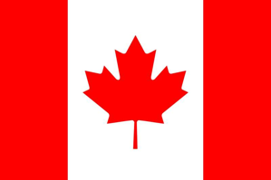 加拿大男篮队徽