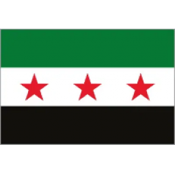 叙利亚男篮队徽