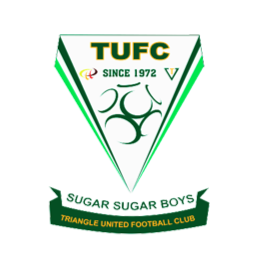 特赖安格尔队徽