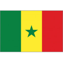 塞内加尔女篮队徽