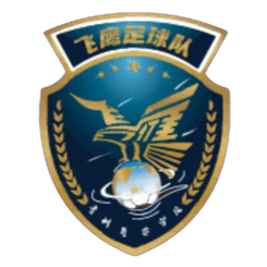 贵州飞鹰队徽