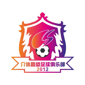 山西太理毅大队徽