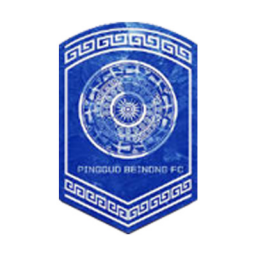 广西平果呗侬女足队徽