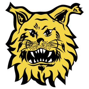 埃尔维斯B队队徽