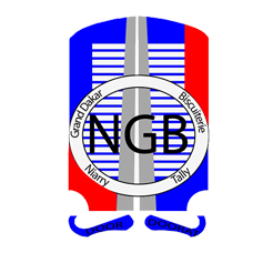 尼阿里塔利队徽