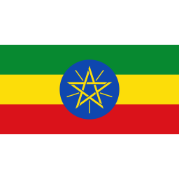 埃塞俄比亚队徽