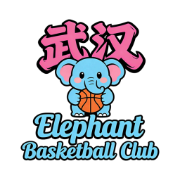 武汉大象篮球队徽